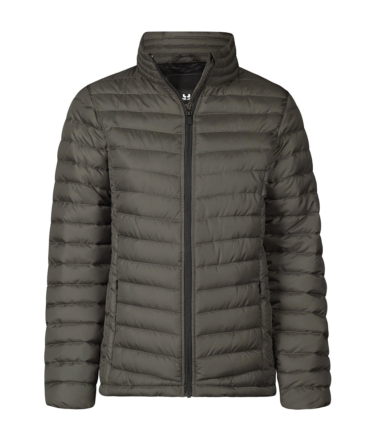 Women’s Zepelin jacket (9631) - Shadow