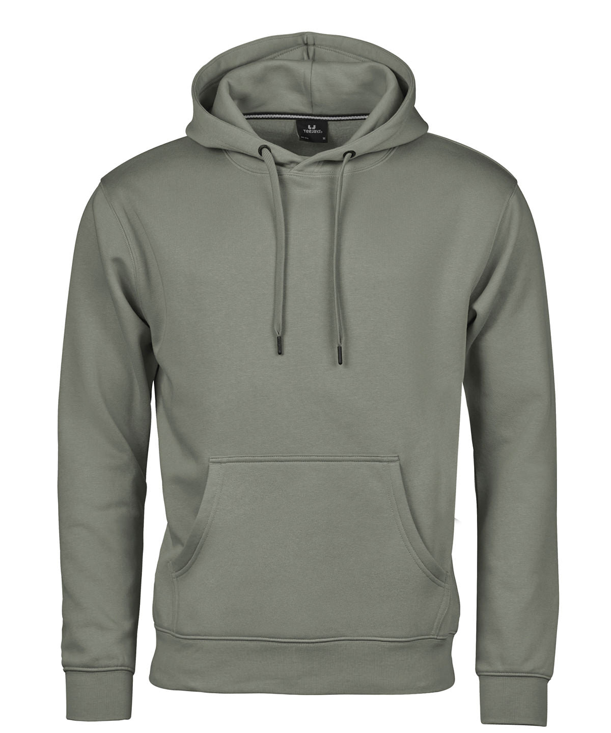 Hooded sweatshirt (5430) - Sage
